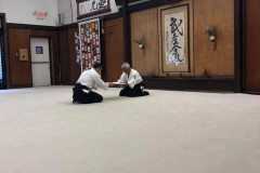 6Dan3