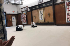 6Dan4-1